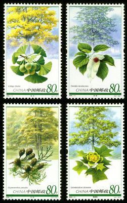 2006-5 《孑遗植物》特种邮票